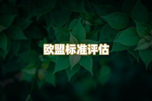 欧盟标准评估