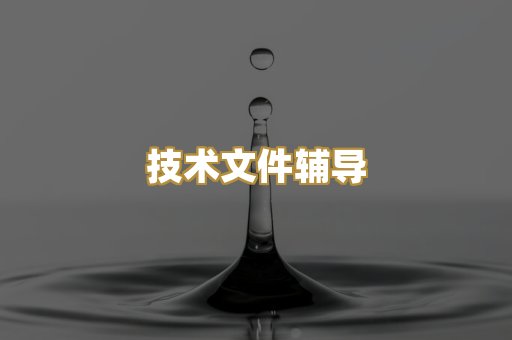 技术文件辅导