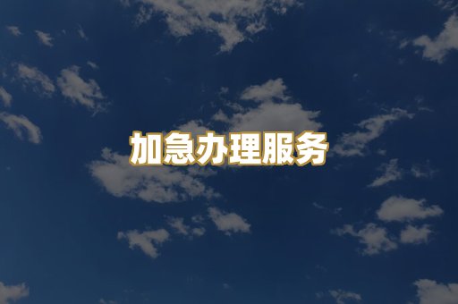 加急办理服务