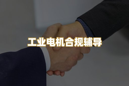 工业电机合规辅导